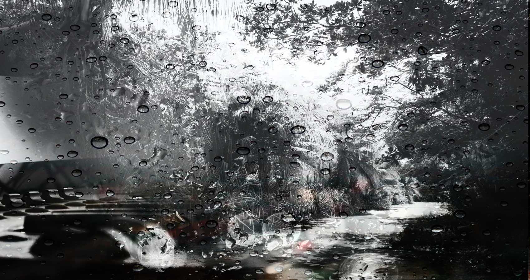 If Rain Could, poetry by Theodora Oniceanu at Spillwords.com