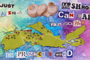 Weird Province, a haiku by Robyn MacKinnon at Spillwords.com