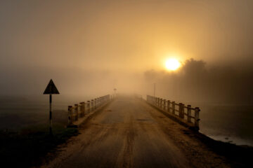 Fog at The Break of Dawn, poetry by Peggy Gerber at Spillwords.com