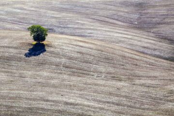 In the Relics of Silence, poem by Dr Qudsi Rizvi at Spilwords.com