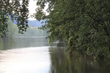 In The Shenandoah River by A.R. Williams at Spillwords.com