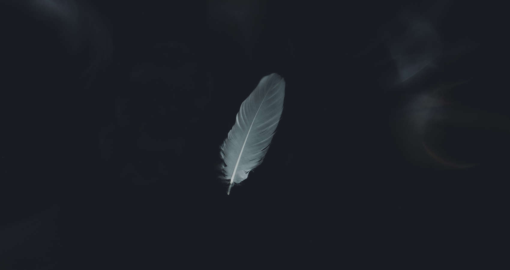 The Feather, story by Leonard Ifeanyi Ugwu, Jr. at Spillwords.com