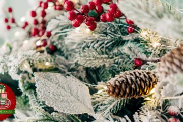 Of Love and A Christmas Tree, fiction by G. Lynn Brown at Spillwords.com