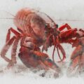 The Lobsters Seven, fiction by Bernardo Villela at Spillwords.com