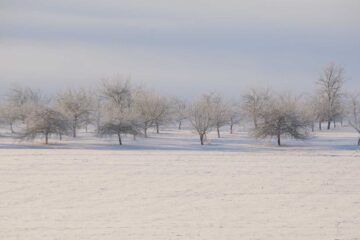 A Winter Eden, a poem by Robert Frost at Spillwords.com