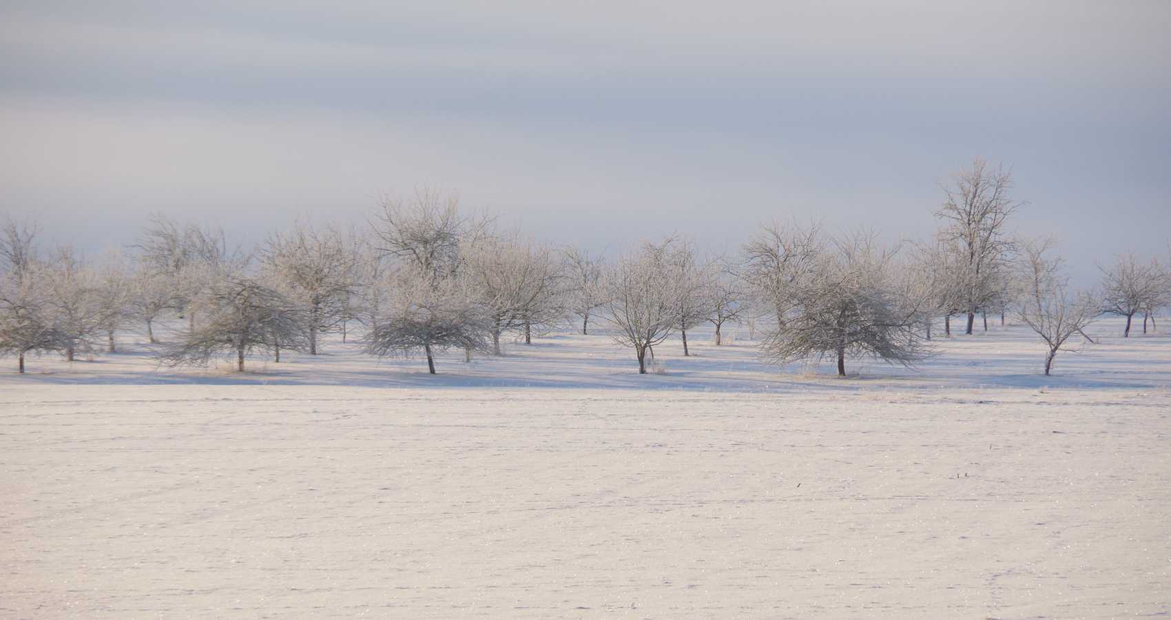 A Winter Eden, a poem by Robert Frost at Spillwords.com