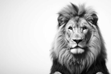 The Lion For Real, a poem by Allen Ginsberg at Spillwords.com
