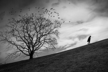 Empty Field, a poem by Magdalena Podobińska at Spillwords.com