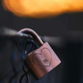 Love Locks on the Seine, a poem by Arvilla Fee at Spillwords.com