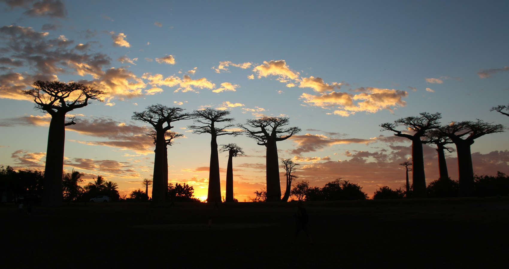 Sat Beneath the Baobab Tree, a short story by Nick Adigu Burke