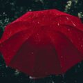 Rain, a poem by Talida Barbe at Spillwords.com