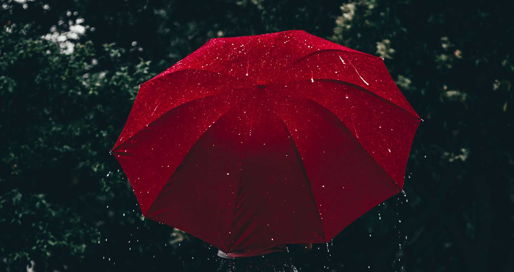 Rain, a poem by Talida Barbe at Spillwords.com