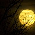 Sorcerer's Moon, a poem by Dana Crandell at Spillwords.com