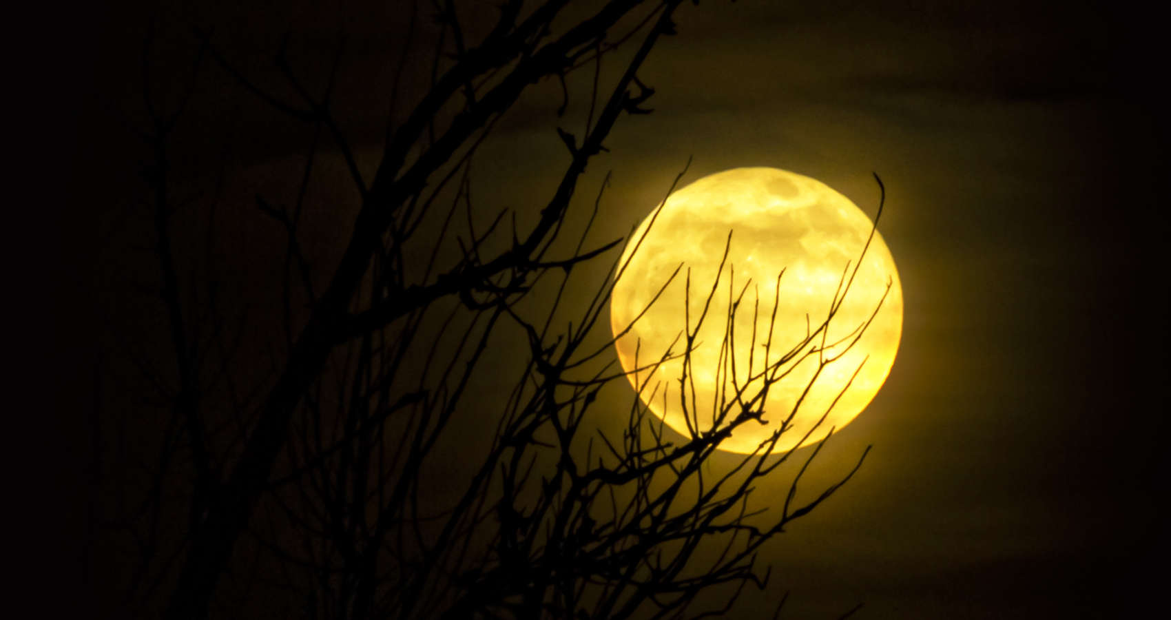 Sorcerer's Moon, a poem by Dana Crandell at Spillwords.com