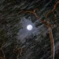 The Full Moon, poetry by Ruchi Srivastava at Spillwords.com