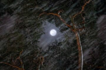 The Full Moon, poetry by Ruchi Srivastava at Spillwords.com