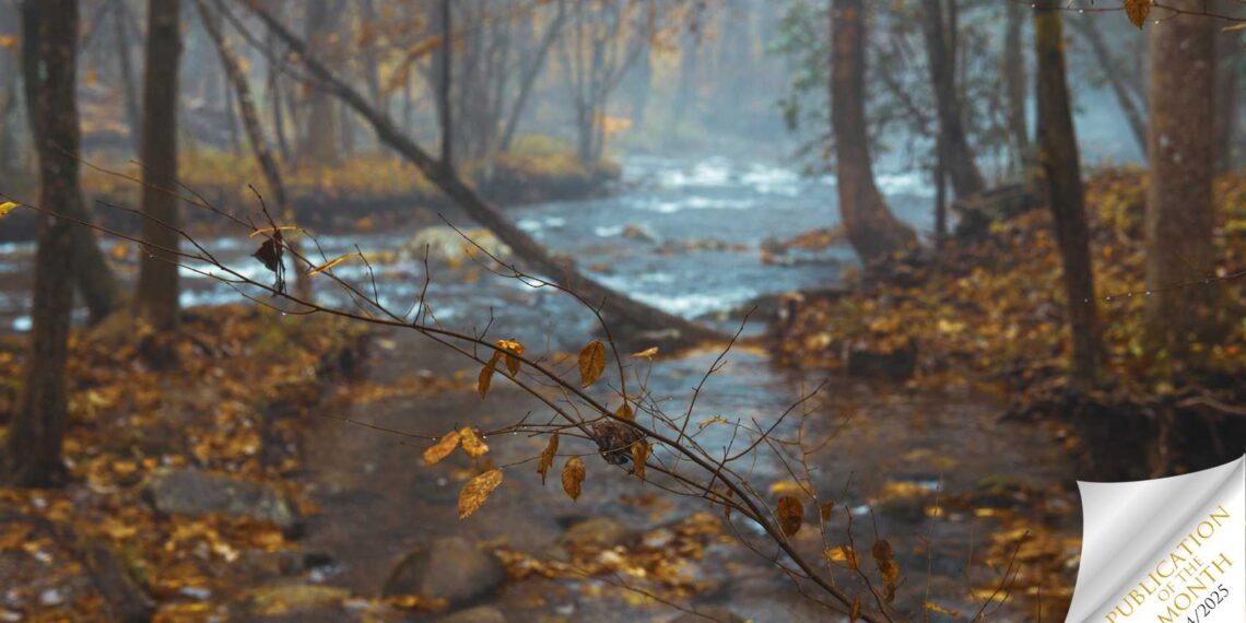 The Forest, poetry by Maggie Watson at Spillwords.com