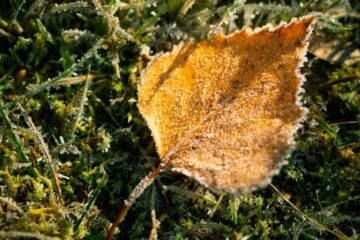 Crisp Air Haiku by Debbie Berna at Spillwords.com