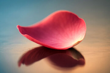 Sonet Nieskończonych Wzruszeń, a poem by Konrad Stawiarski at Spillwords.com