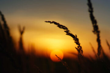 Sundown, poem by Elisa Theriana at Spillwords.com