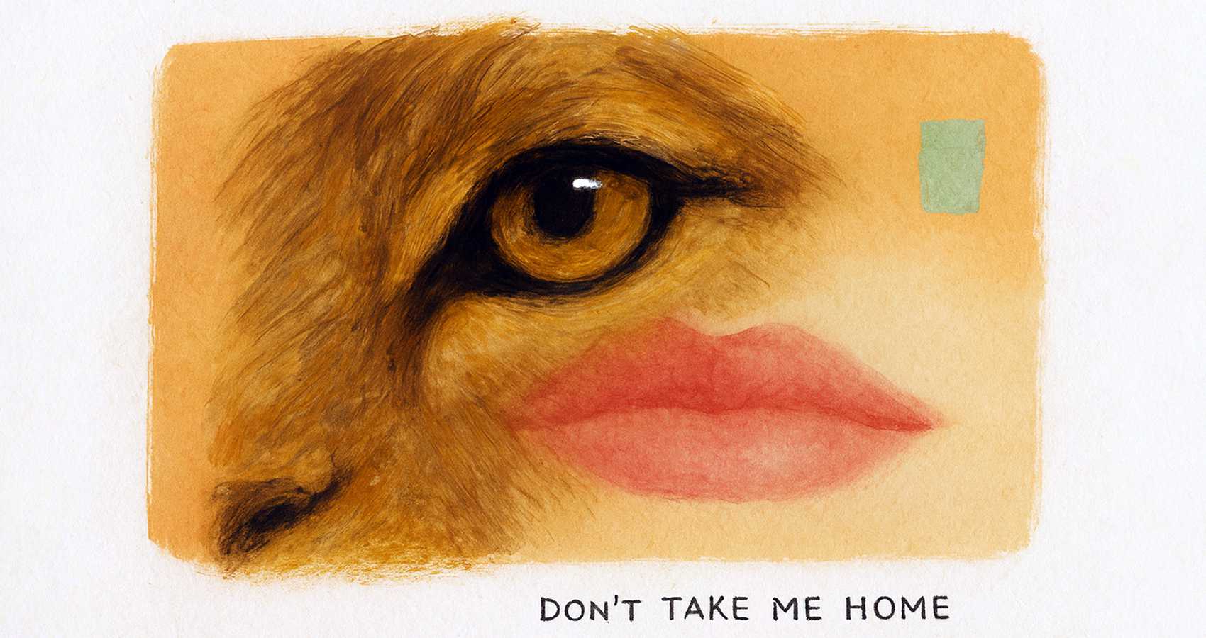 Don't Take Me Home, poetry by Kimber-Lee Basson at Spilwords.com