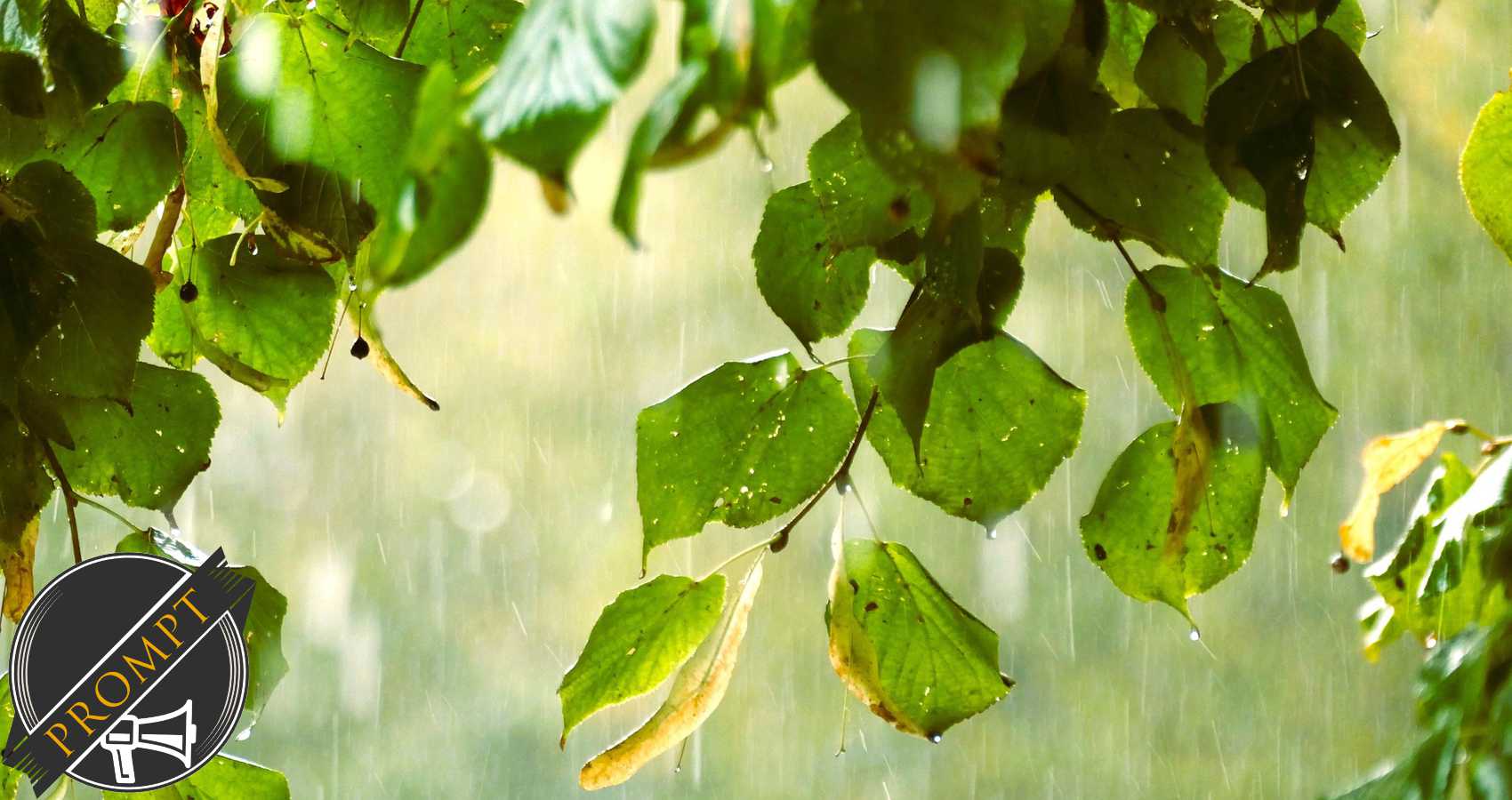 Listen as Nature Speaks, a poem by Franci Eugenia Hoffman at Spillwords.com