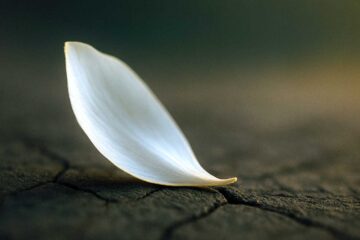 Where Heaven Touches Earth, poetry by Maliya Denise Wilmore at Spillwords.com