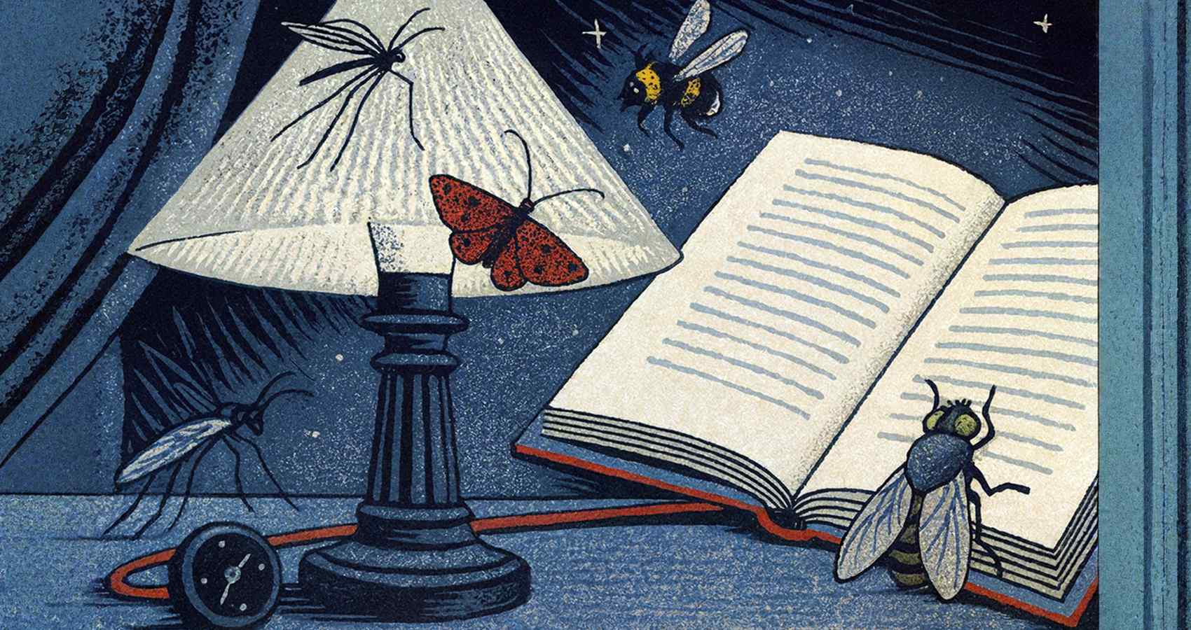 An August Midnight, a poem by Thomas Hardy at Spillwords.com