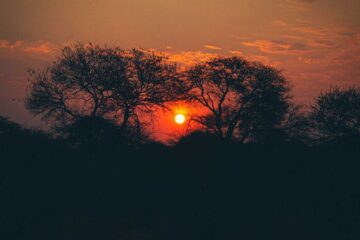 Our True Weapon, poetry by Cindy Georgakas at Spillwords.com