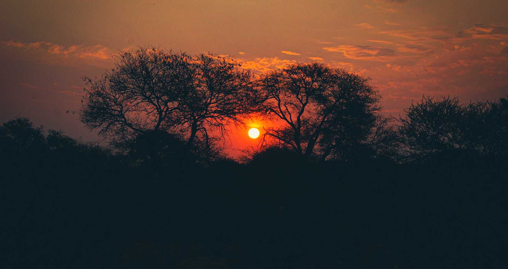 Our True Weapon, poetry by Cindy Georgakas at Spillwords.com