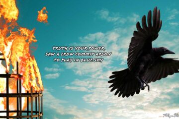 The Arsonist Crow, a haiku by Robyn MacKinnon at Spillwords.com