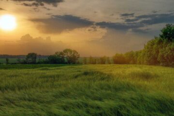 The Hike, a poem by Sherry Healy at Spillwords.com