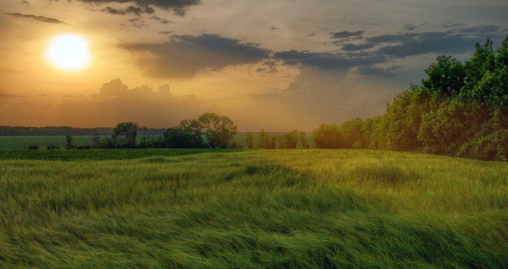 The Hike, a poem by Sherry Healy at Spillwords.com