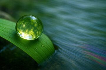 The River, a poem by RachAich at Spillwords.com