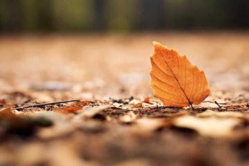 Love is Unmade, a poem by Tony Ashenden at Spillwords.com