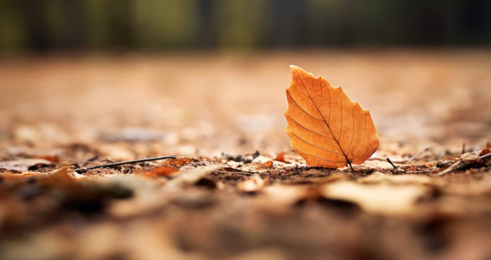 Love is Unmade, a poem by Tony Ashenden at Spillwords.com