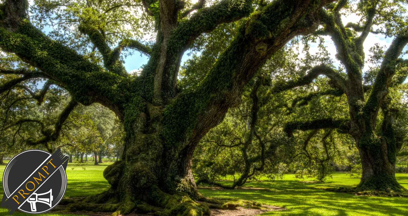 Memories of Ago, Delicious, poetry by Franci E Hoffman at Spillwords.com