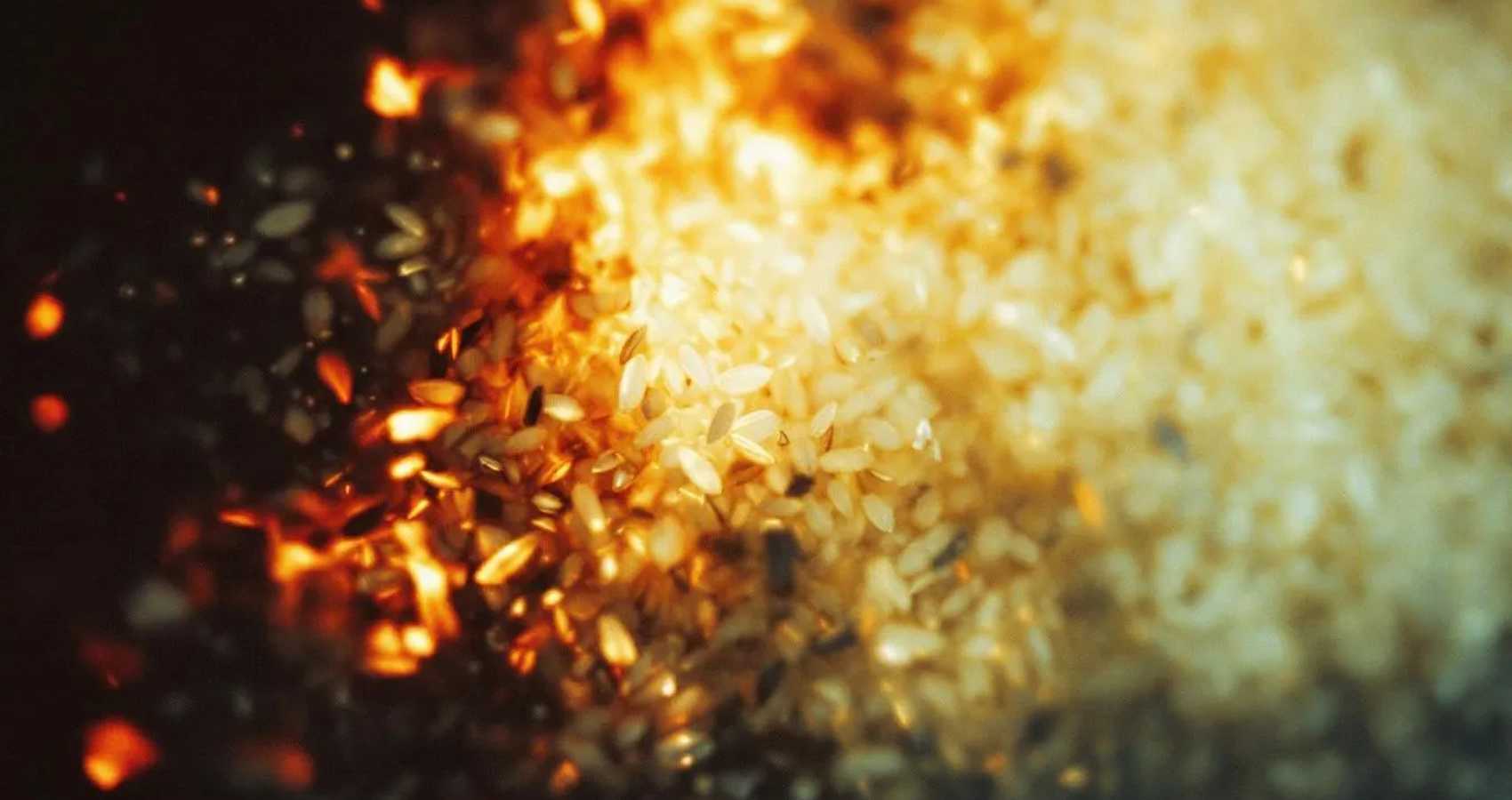 Of Rice and Women, short story by Astghik Nadiryan at Spillwords.com