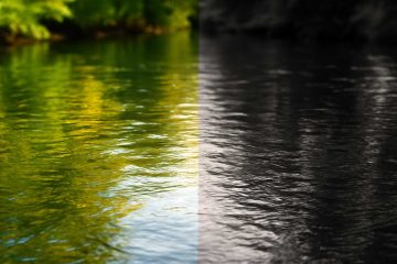 Split Me Dear River, a poem by Aneek Chatterjee at Spillwords.com