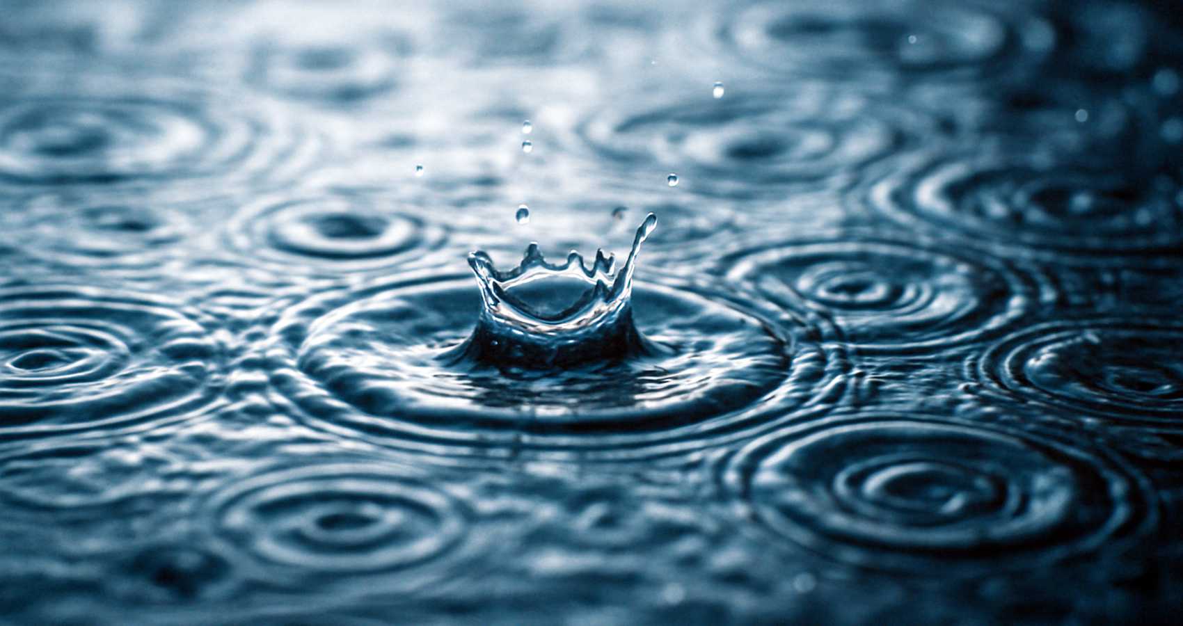 Two Soft Things, a poem by Zahra at Spillwords.com