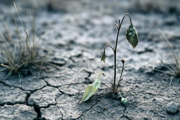 Goodbye, Saigon, a poem by Hanh Chau at Spillwords.com