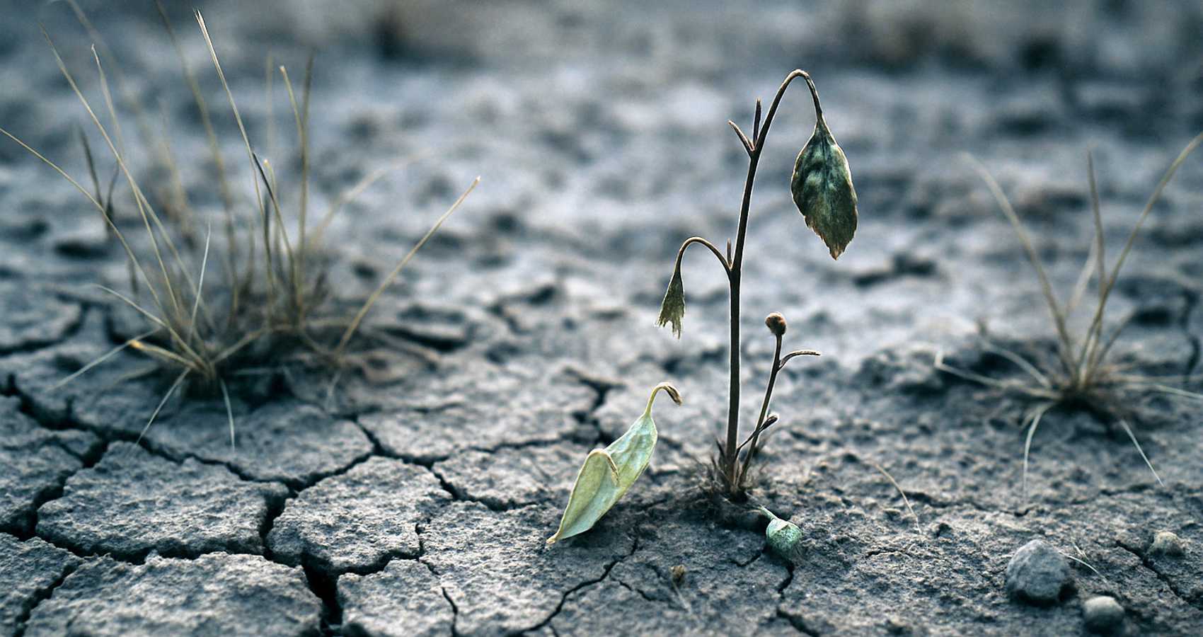 Goodbye, Saigon, a poem by Hanh Chau at Spillwords.com