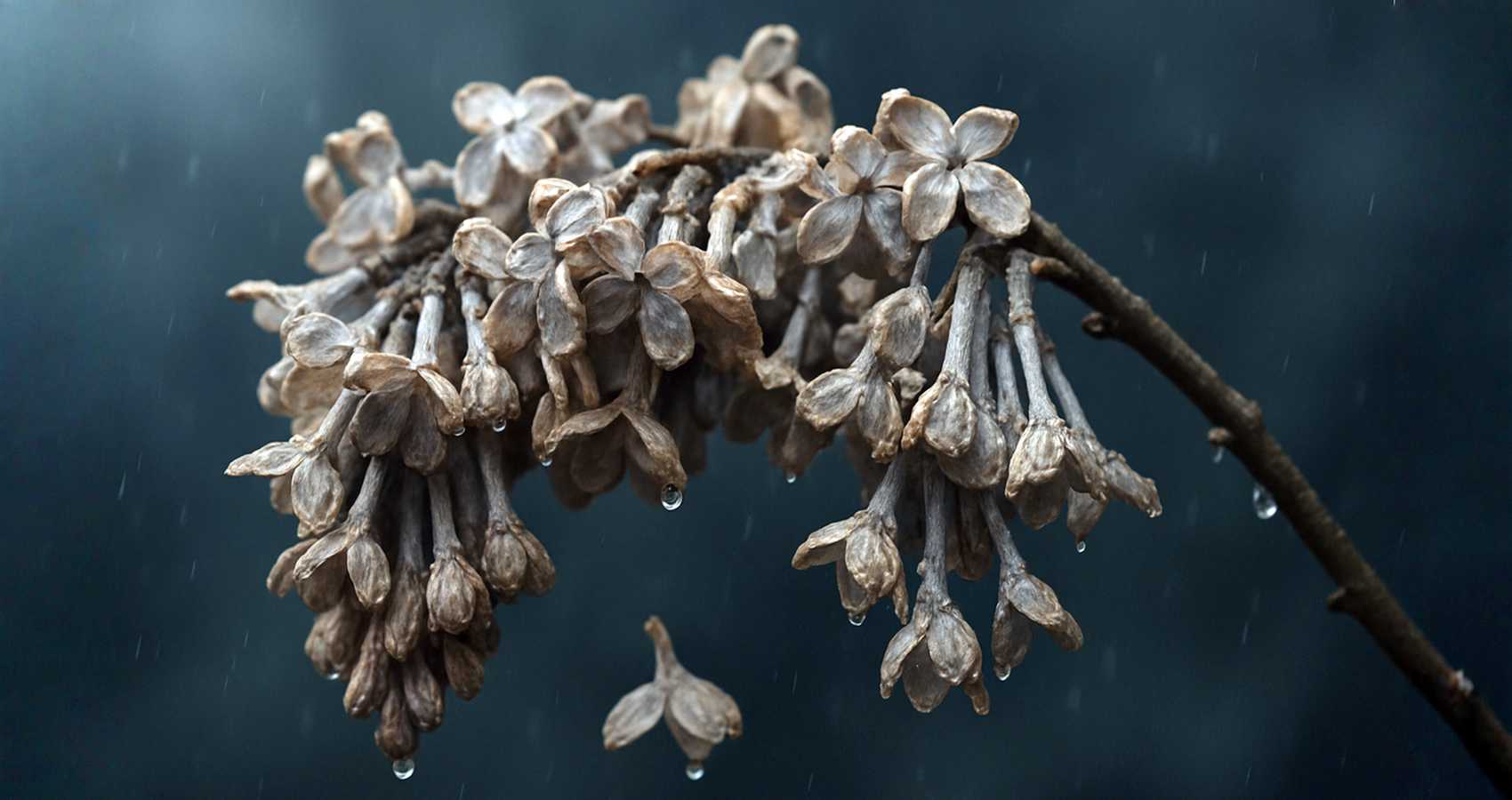 Is 'Our Song, Her Now' a Real Song? poetry by Diva Biyani at Spillwords.com