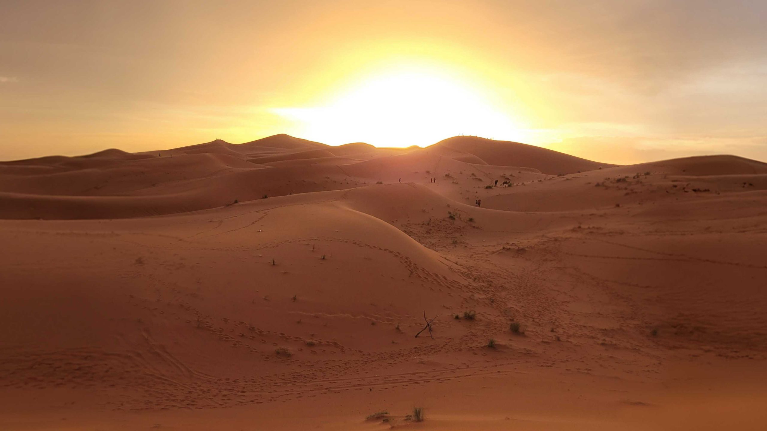 A Beacon Of Hope, a poem by Mario William Vitale at Spillwords.com