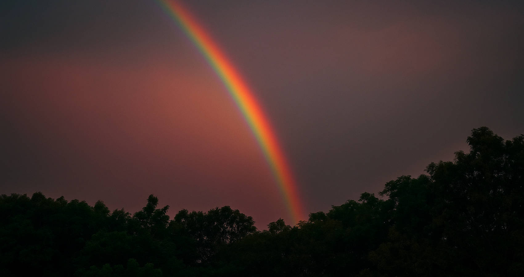 Alive, poetry by River Joy at Spilwords.com