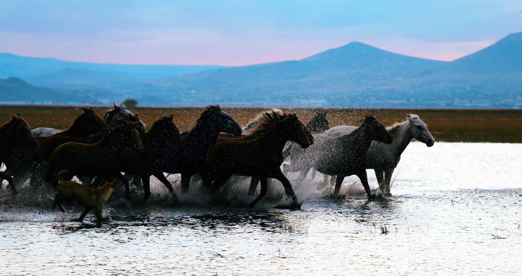 Dancing At The River, poetry by Min Annmay Chester at Spillwords.com