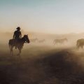 Early Morning Cowboys, a poem by Eileen Clark at Spillwords.com