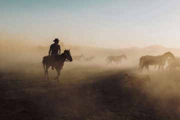 Early Morning Cowboys, a poem by Eileen Clark at Spillwords.com