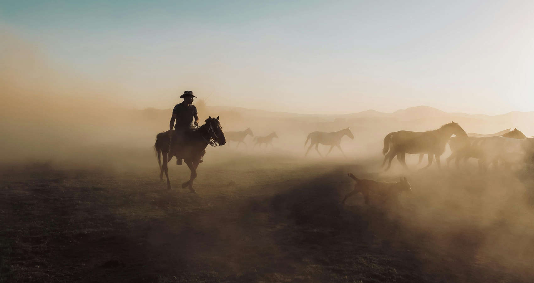 Early Morning Cowboys, a poem by Eileen Clark at Spillwords.com