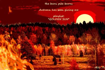 Gifts of Autumn, a haiku by Robyn MacKinnon at Spillwords.com